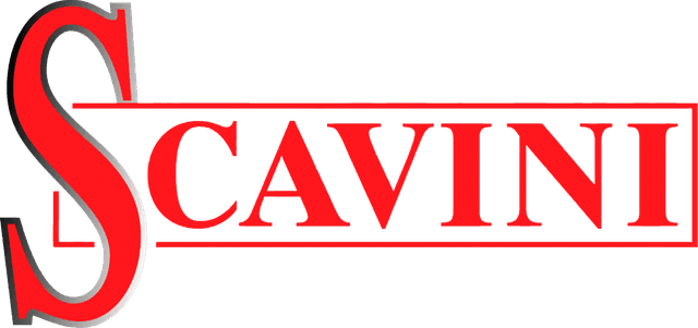 Scavini logo
